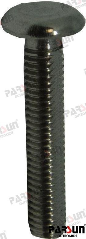 TORNILLO CABEZA PLANA A Parsun PAF40-06000007