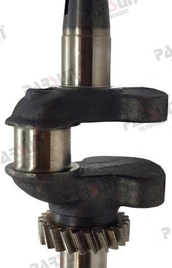 CIGÜEÑAL COMPLETO Parsun PAF6-04000100