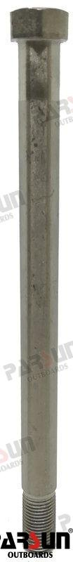 TORNILLO Parsun PAF60-00000001