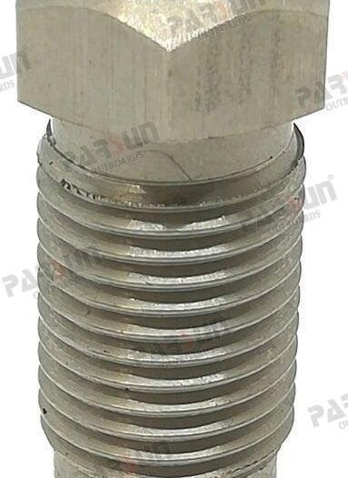 SPRING PLUNGER Parsun PAF60-00000009