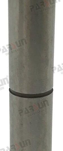 ÉMBOLO CAMBIO Parsun PAF60-04020005