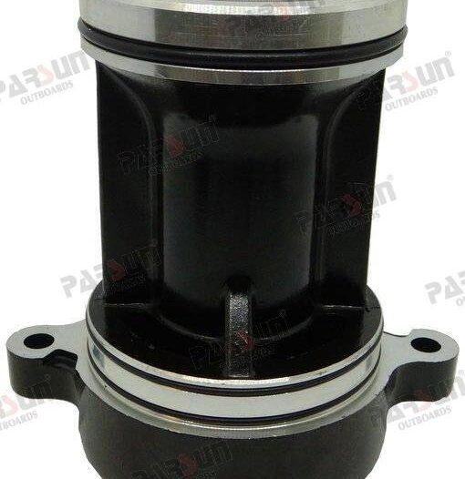 FUNDA INFERIOR COMPLETA Parsun PAF60-04030000