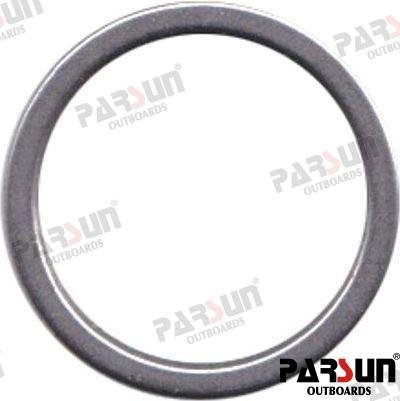 ARANDELA Parsun PAF8-04000012