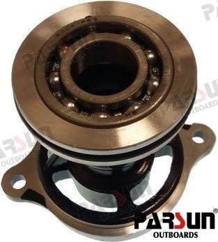 CUBIERTA INFERIOR COMPLETA Parsun PAF8-04040000