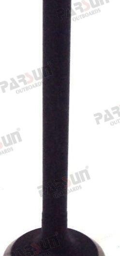 VÁVULA ADMISIÓN Parsun PAF8-05030001