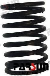 MUELLE Parsun PAF8-05030009