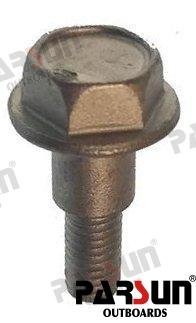 TORNILLO Parsun PAF8-05050010