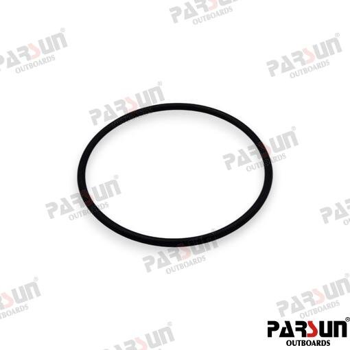 ANILLO TORICO 67.8X3.1 Parsun PAJASO-F404-31-068