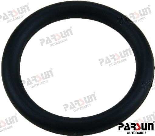 O'RING Parsun PAJASOF40431025