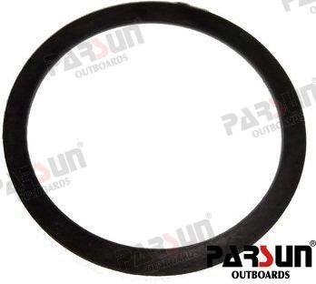 ARANDELA NYLON Parsun PAT15-01000003