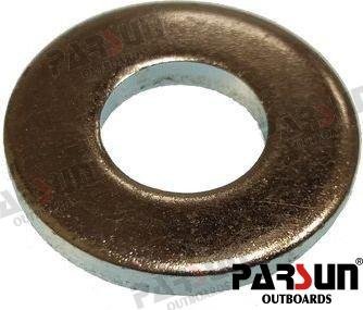 ARANDELA Parsun PAT15-04000011