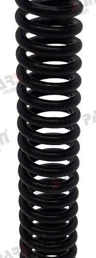 MUELLE Parsun PAT40-04050002