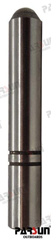 PLUNGER