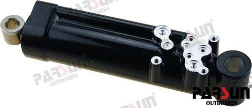 PISTON TRIM COMPLETO Parsun PAT40-10010000