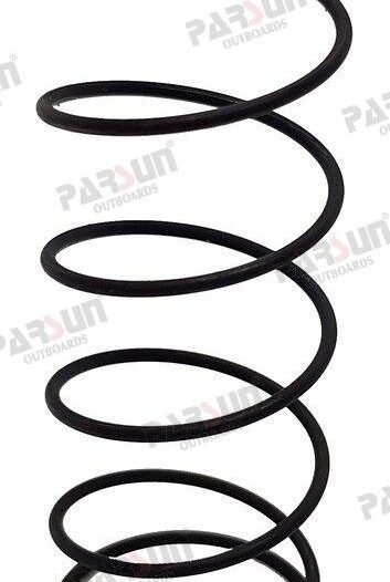 MUELLE Parsun PAT40-10010102