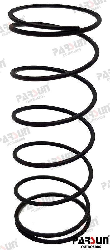MUELLE Parsun PAT40-10010102