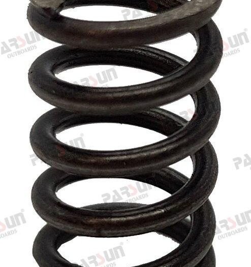 MUELLE Parsun PAT40-10020002