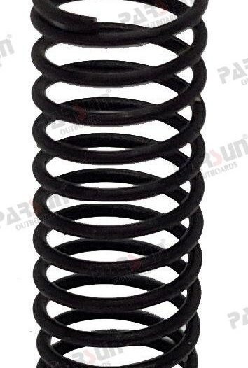MUELLE Parsun PAT40-10020004