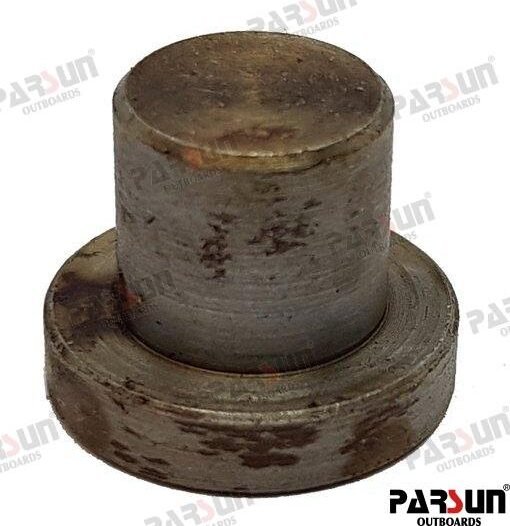 ALOJAMIENTO MUELLE Parsun PAT40-10020201