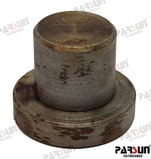 ALOJAMIENTO MUELLE Parsun PAT40-10020201