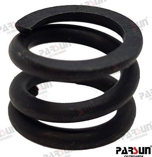 MUELLE Parsun PAT40-10020202