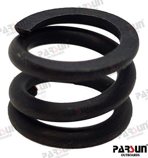 MUELLE Parsun PAT40-10020202