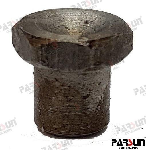 ALOJAMIENTO DE MUELLE Parsun PAT40-10020303