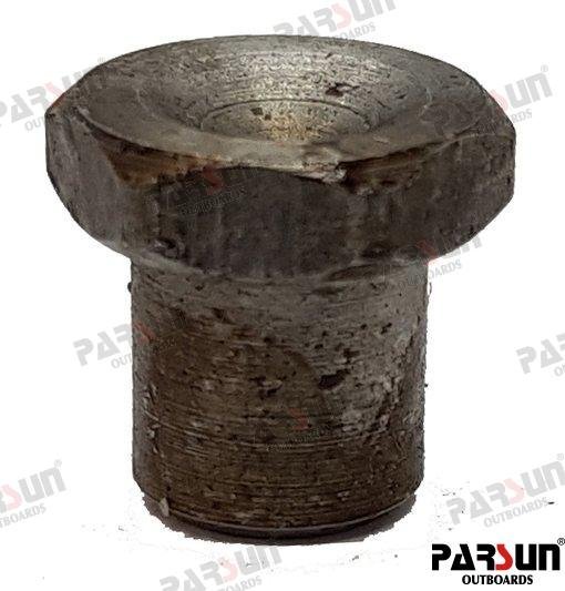 ALOJAMIENTO DE MUELLE Parsun PAT40-10020303