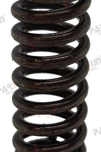 MUELLE Parsun PAT40-10020304