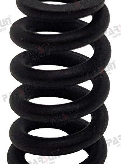 MUELLE Parsun PAT40-10030001