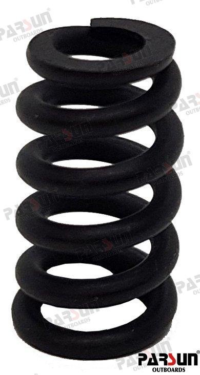 MUELLE Parsun PAT40-10030001