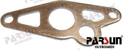 PLACA ORIENTADA TUBO AGUA Parsun PAT5-02000008
