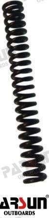 MUELLE Parsun PAT5-03000402