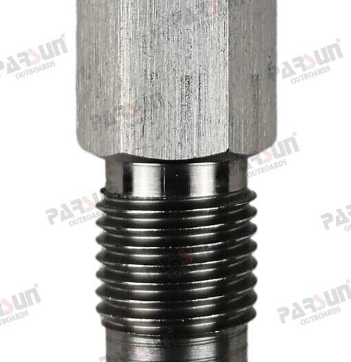 BUJE TORNILLO Parsun PAT60-00010004