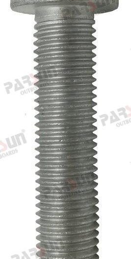TORNILLO M10X1.25X45 Parsun PAT85-00000012