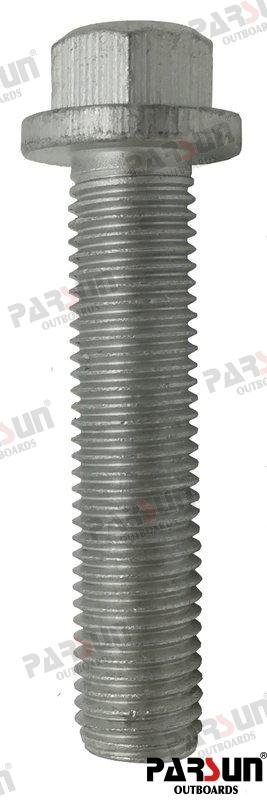 TORNILLO M10X1.25X45 Parsun PAT85-00000012