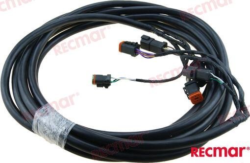 EXTENSION ARNES 20´ Recmar REC0176335