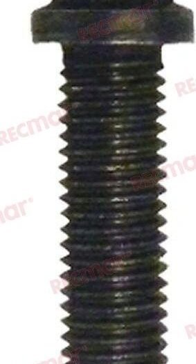 TORNILLO Recmar REC10-91012
