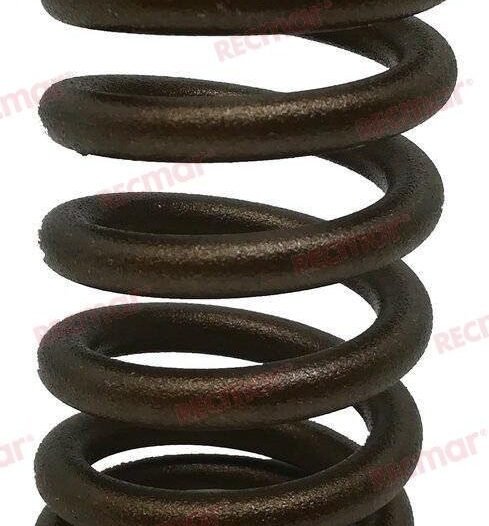 SPRING: VALVE 262