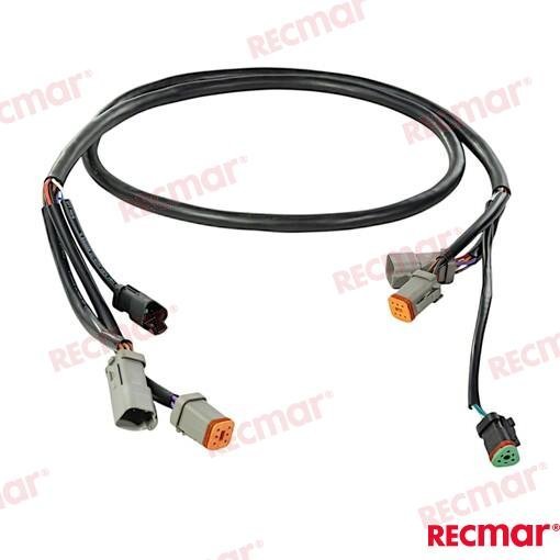 EXTENSION ARNES 5FT Recmar REC176333