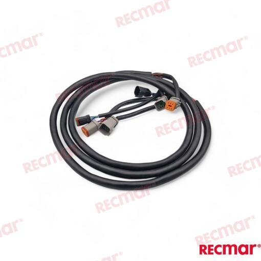 EXTENSION ARNES 10FT (3M) Recmar REC176334