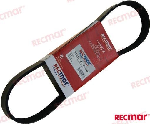 CORREA Recmar REC31638-ZY3-003