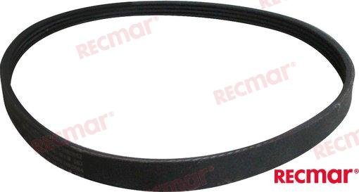 CORREA Recmar REC31638-ZY6-003