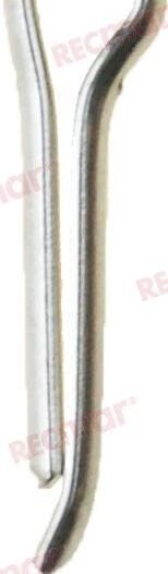 PASADOR Recmar REC320785
