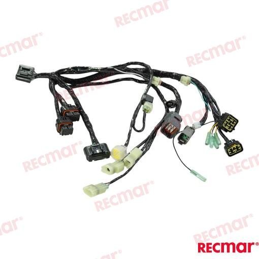 WIRE ASSY BCM NO.1 SNGL Recmar REC36623-98L00