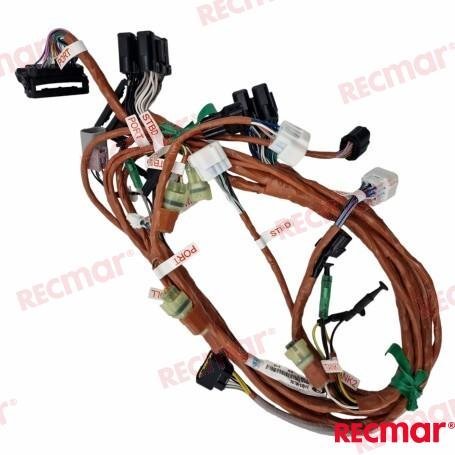 WIRE ASSY BCM NO.1 MULT Recmar REC36623-98L30