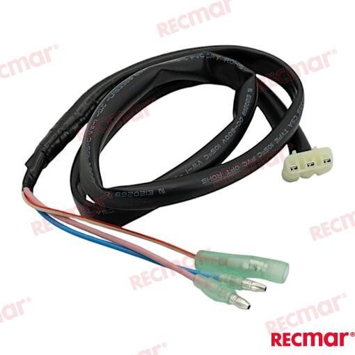 EXTENSION ADAPTADOR PPT Recmar REC36646-93J01