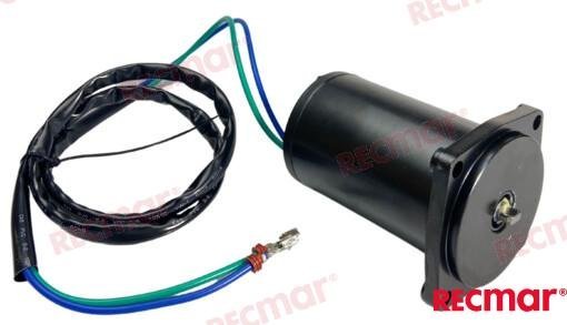 MOTOR TRIM E-TEC Recmar REC5006319