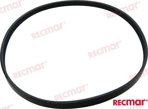 CORREA Recmar REC57-8M0031641