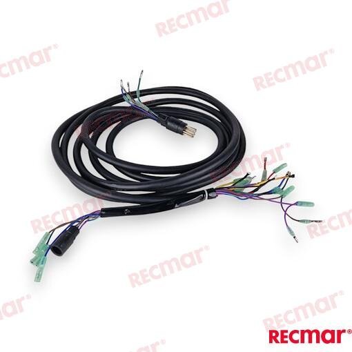 EXTENSION 10PINS (6M) Recmar REC688-8258A-60